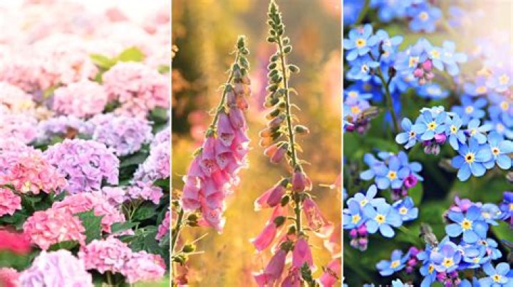 Are there any flowers you should not deadhead