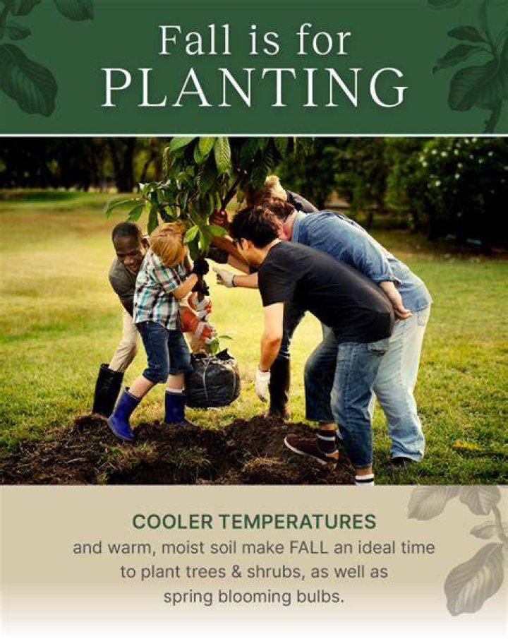 Are there any trees you can plant in the fall