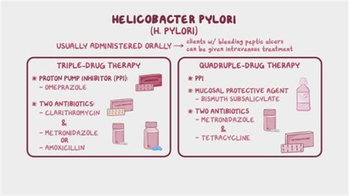 Can clarithromycin be taken with methotrexate