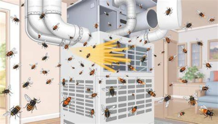 Can flies come in through the air conditioner