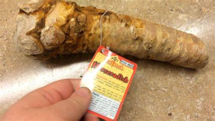 Can I grow horseradish from the grocery store