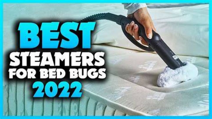 Can I use a handheld steamer to kill bed bugs