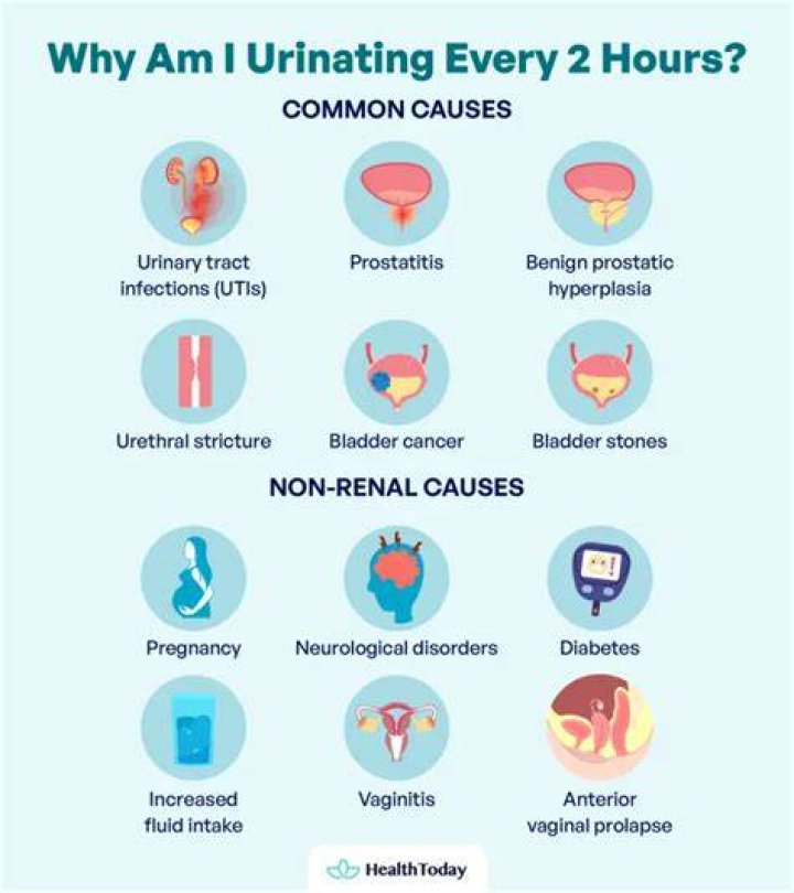 Can kidney problems cause excessive urination