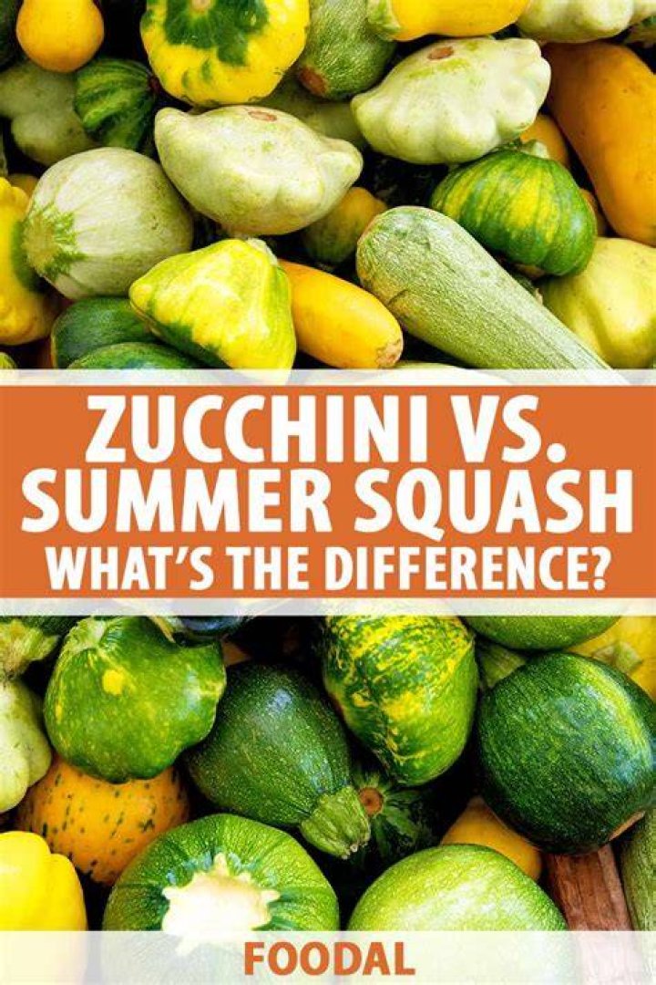 Can you use zucchini instead of yellow squash