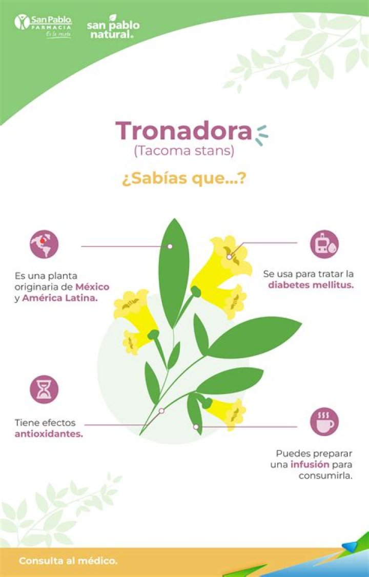 ¿Cómo es la planta Tronadora y para qué sirve
