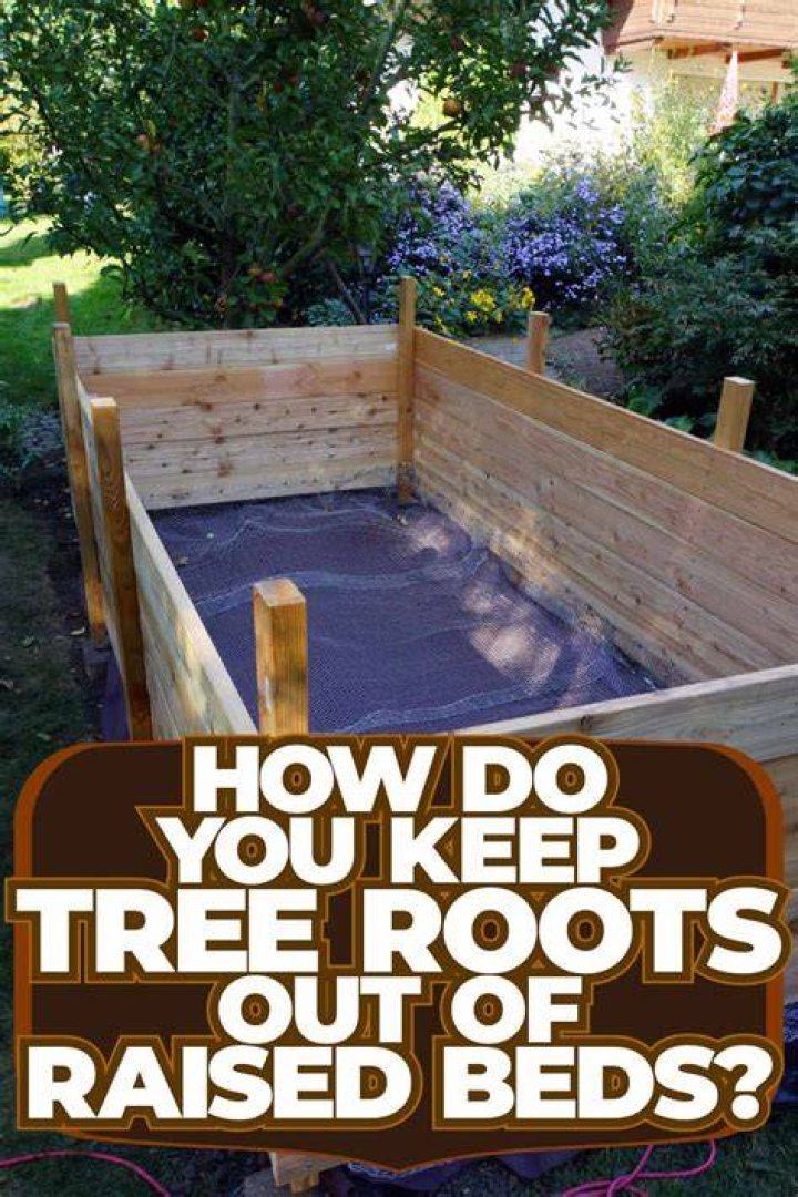 How do I keep tree roots out of my garden bed