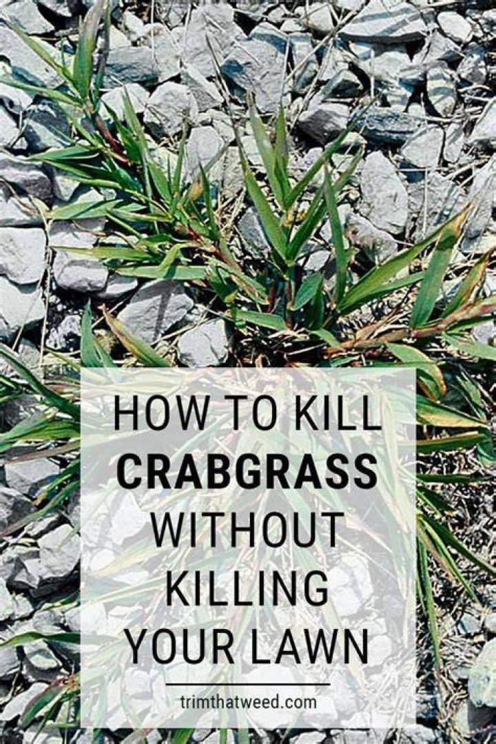 How do I kill grass without killing my garden