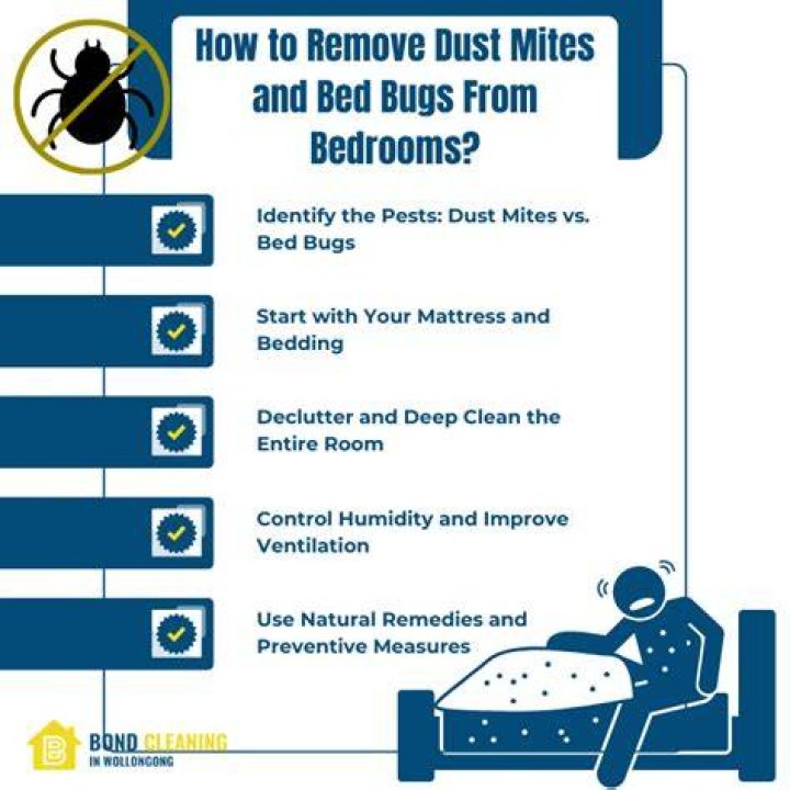 How do you get rid of dust mites and bed bugs