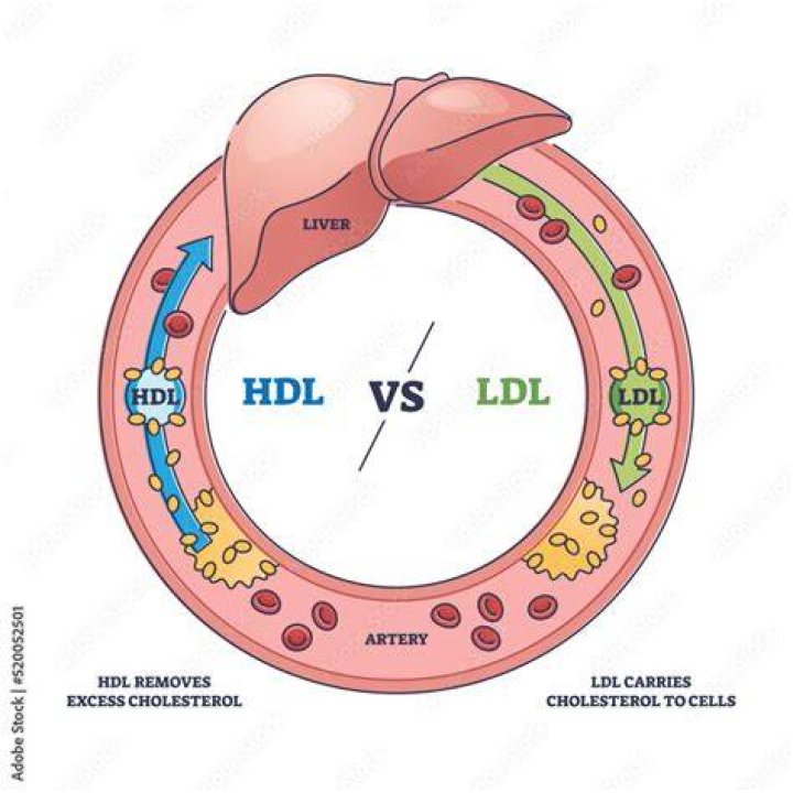 How do you remove cholesterol from your liver