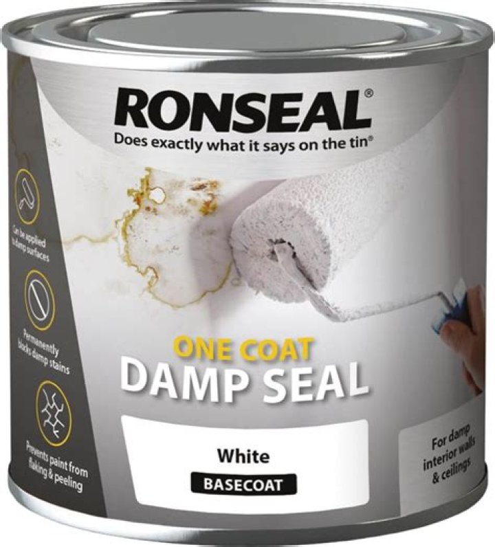 How long does ronseal damp seal take to dry