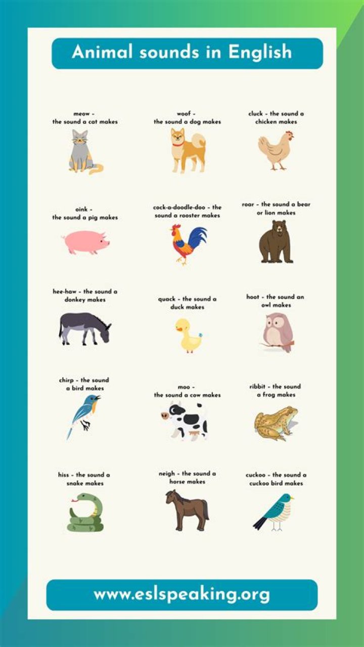 How many different sounds can gorilla produce