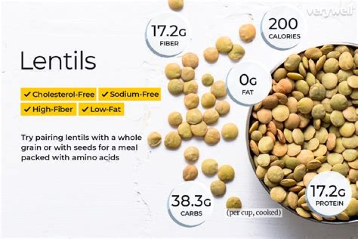 How many grams of protein are in 100g lentils