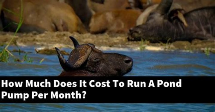 How much does it cost to run a pump in a pond