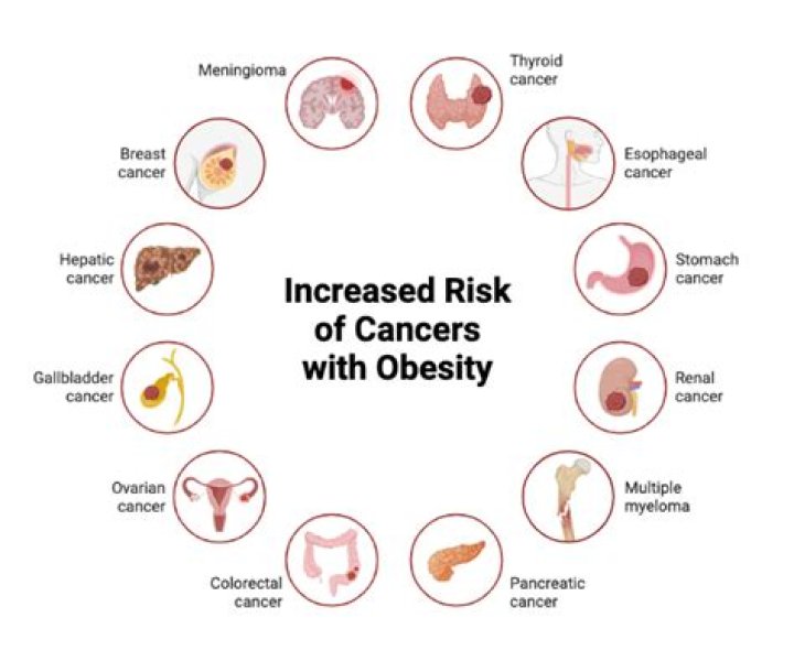 How much does obesity increase risk of cancer