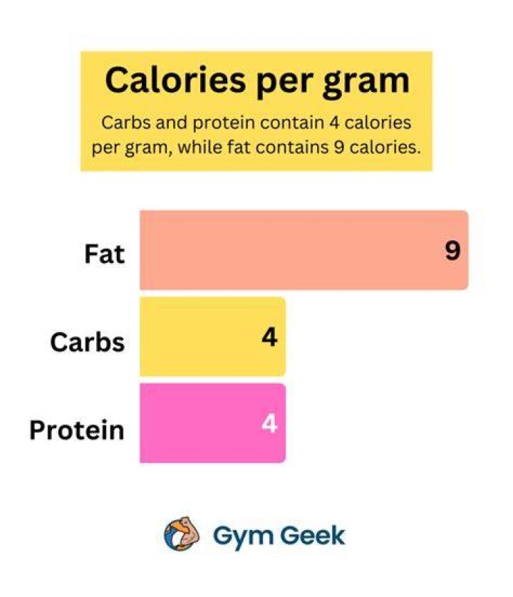 How much energy does each gram of fat provide