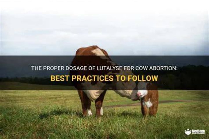 How much Lutalyse does it take to abort a cow