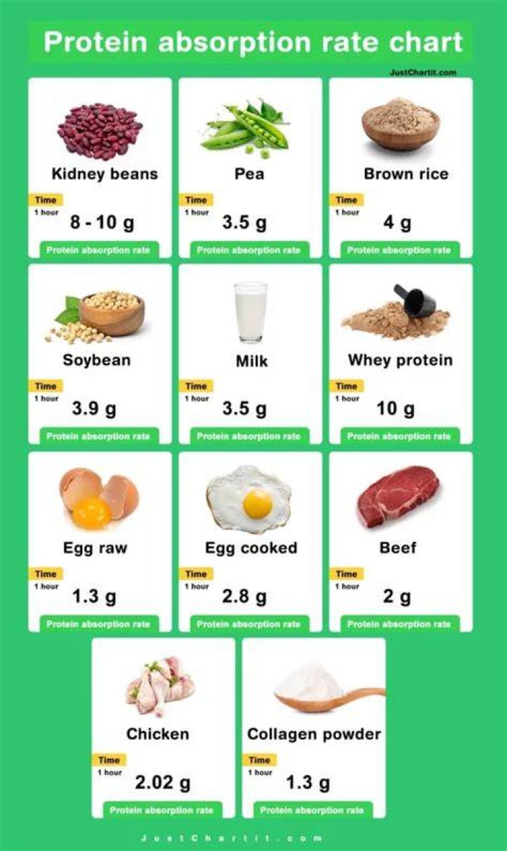 How much protein can the body absorb per meal