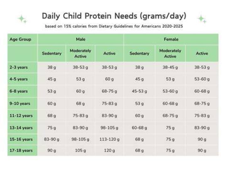 How much protein does a 3 year old need a day