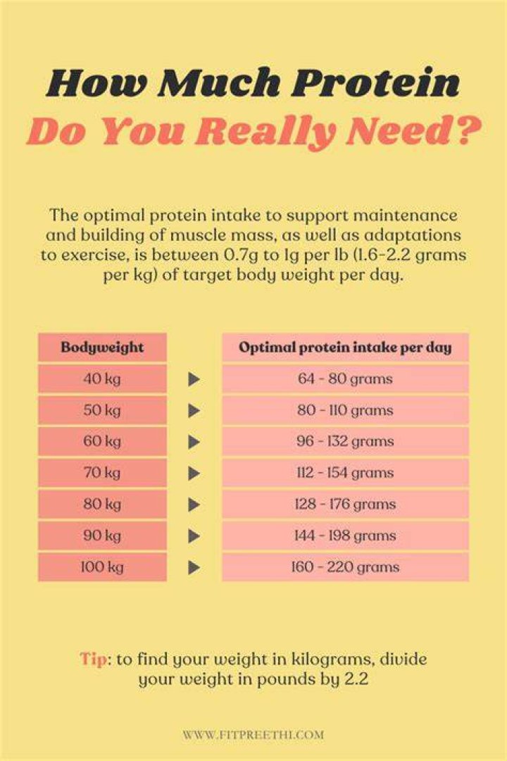 How much protein powder can you have in a day