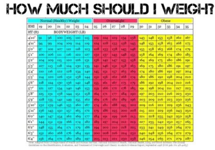 How much should the average 14 year old weigh