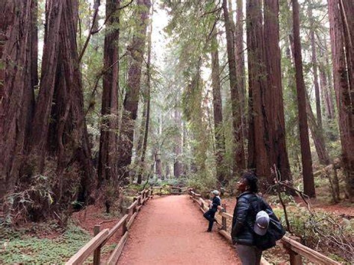 How much time do you need to visit Muir Woods