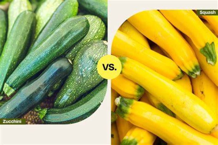 Is crookneck squash the same as yellow squash