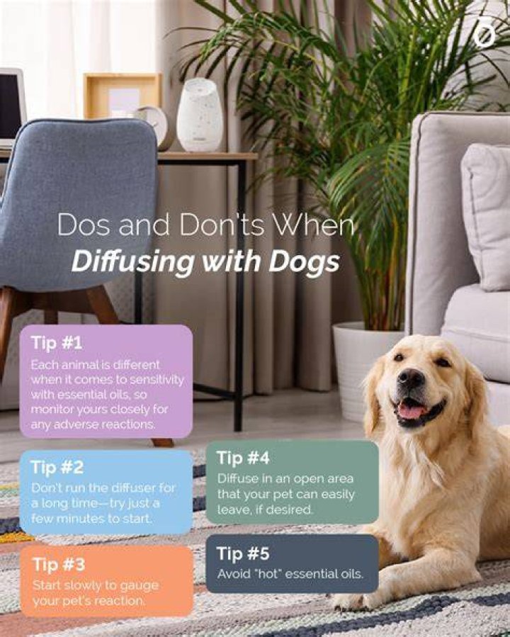 Is eucalyptus oil safe to diffuse around dogs