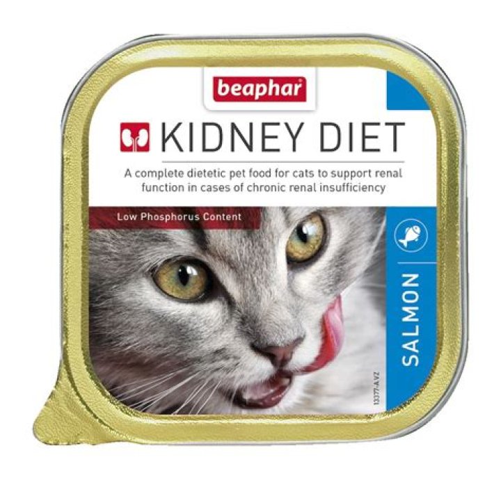 Is fish oil good for cats with kidney disease