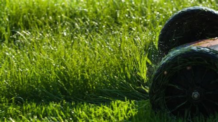 Is it OK to cut wet grass with a petrol mower