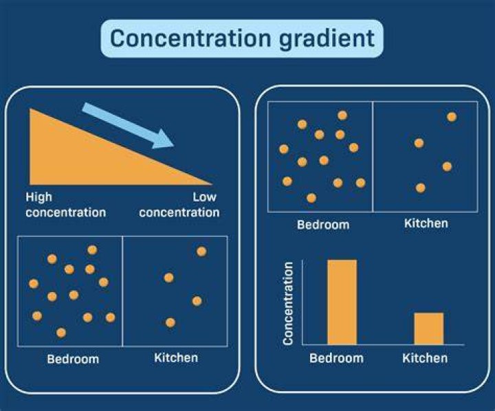 Is osmosis driven by a concentration gradient