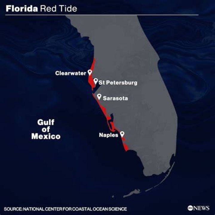 Is there currently red tide in Naples Florida