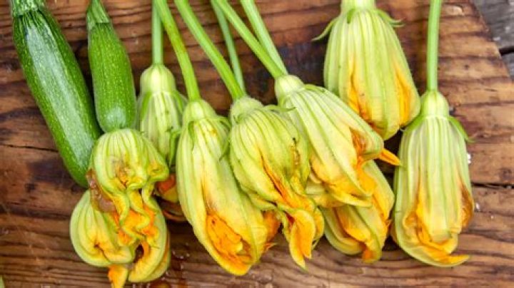 Should I pick the flowers off my squash plant