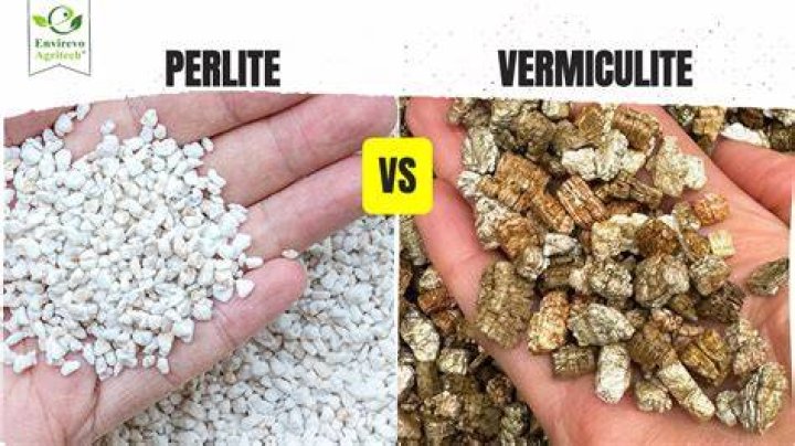 Should I use vermiculite and perlite together