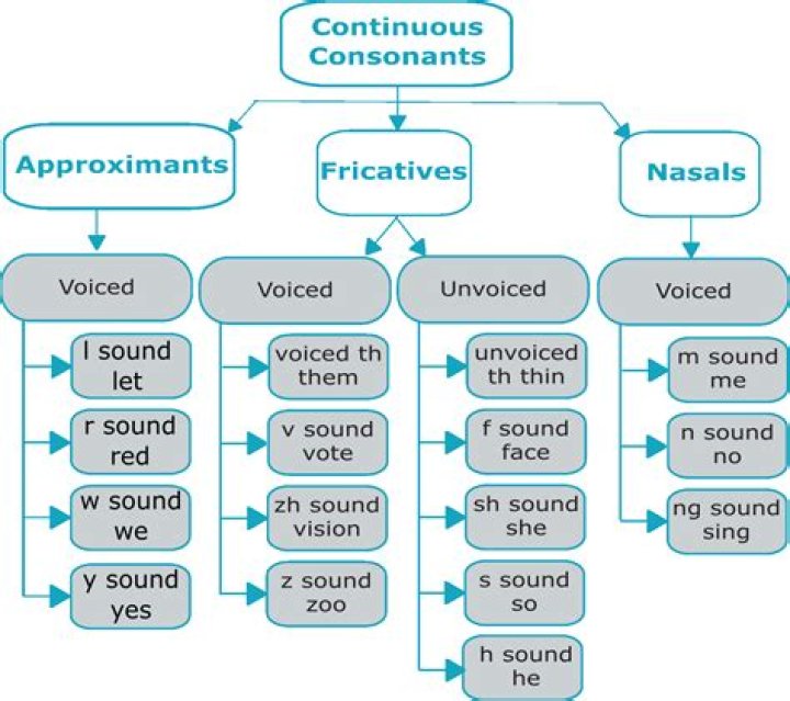 What are continuant and non continuant sounds