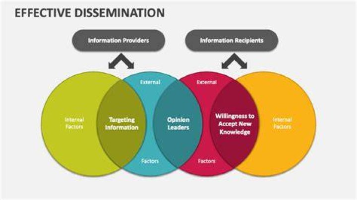 What are examples of dissemination strategies