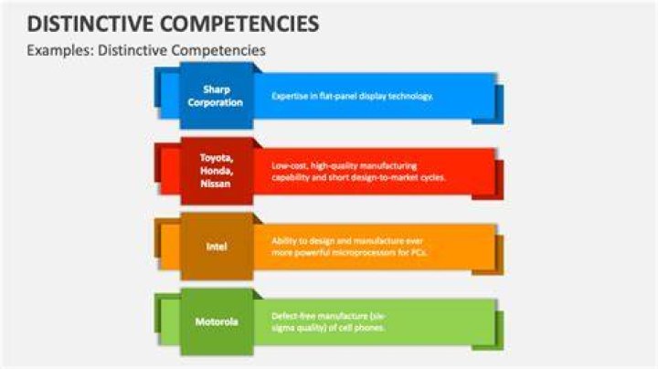 What are examples of distinctive competencies