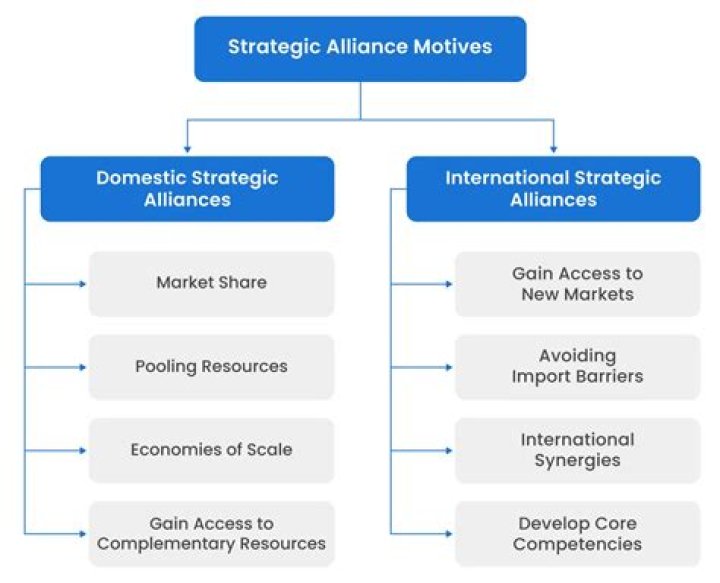 What are some examples of strategic alliances