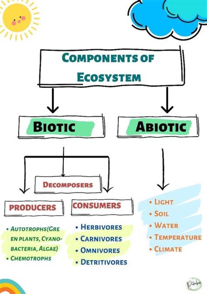 What are the 4 biotic factors in an ecosystem