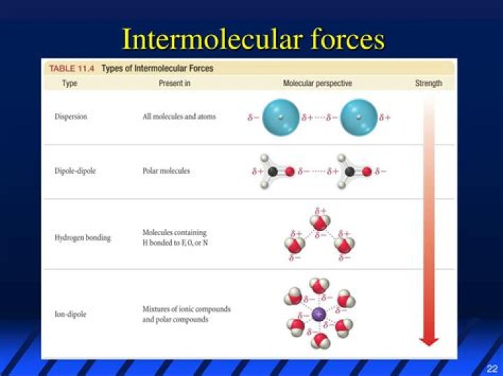 What are the 4 types of intermolecular forces
