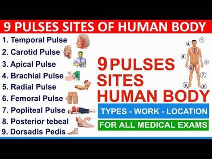 What are the 9 pulse sites in a persons body