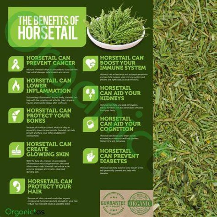 What are the benefits of horsetail supplement