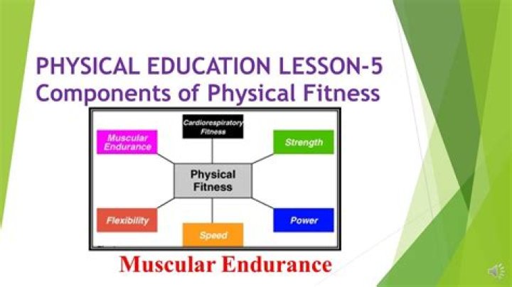 What are the components of physical education