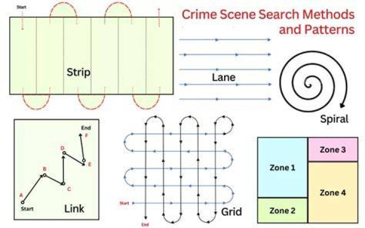 What are the different types of search method