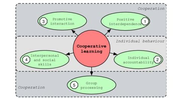 What are the elements of cooperative learning