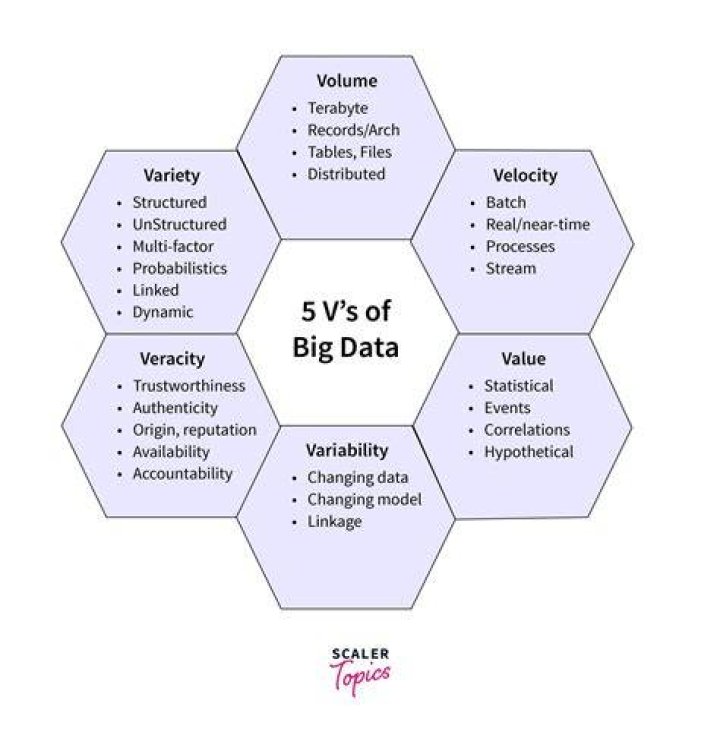 What are the five characteristics of big data