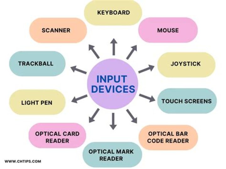 What are the input devices of computer system