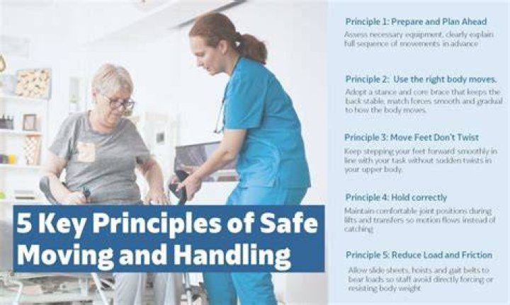 What are the main principles of safe handling