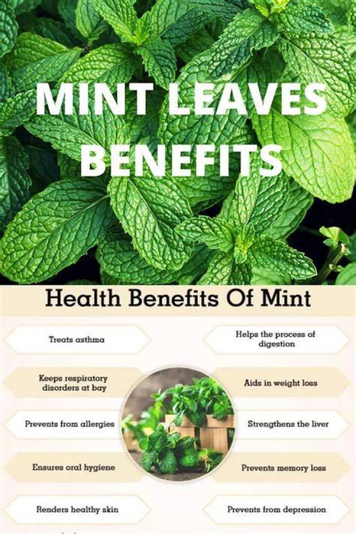What are the most common uses for mint leaves