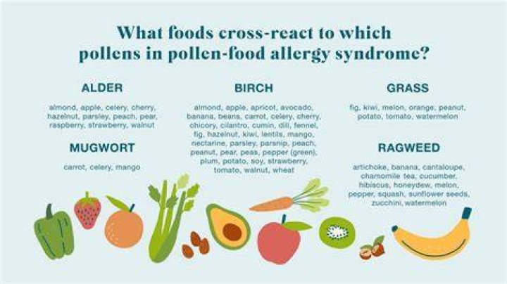What are the symptoms of grass pollen allergy