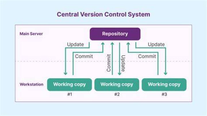 What are the types of version control systems